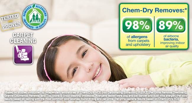 Carpet Cleaning Carpet Cleaning
